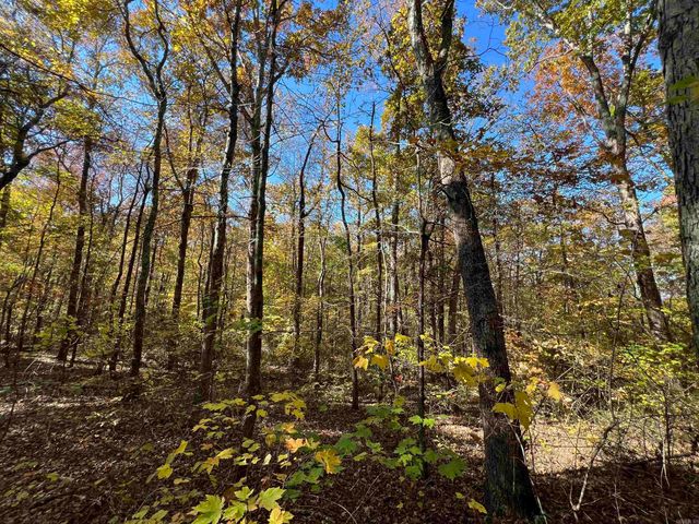 Lot 60R Holley Mountain Airpark, Clinton, AR 72031