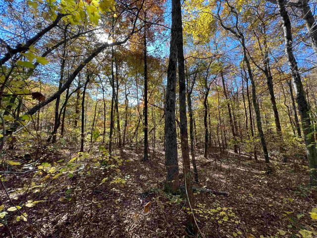 Lot 60R Holley Mountain Airpark, Clinton, AR 72031