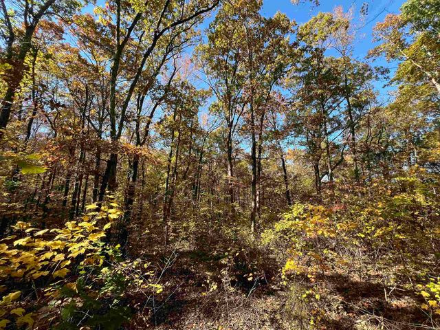 Lot 60R Holley Mountain Airpark, Clinton, AR 72031