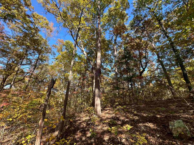 Lot 60R Holley Mountain Airpark, Clinton, AR 72031