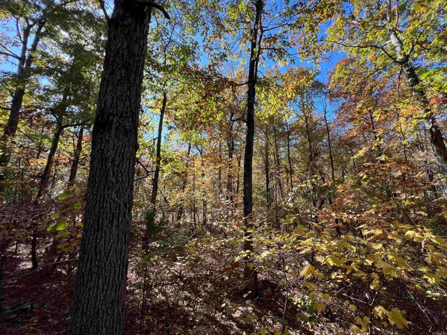 Lot 60R Holley Mountain Airpark, Clinton, AR 72031