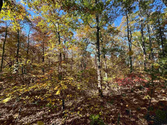 Lot 60R Holley Mountain Airpark, Clinton, AR 72031