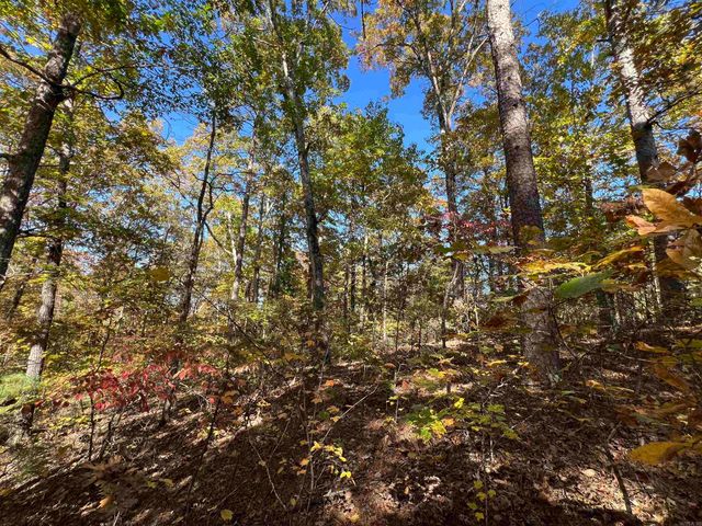 Lot 60R Holley Mountain Airpark, Clinton, AR 72031