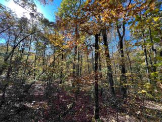 Lot 60R Holley Mountain Airpark, Clinton, AR 72031