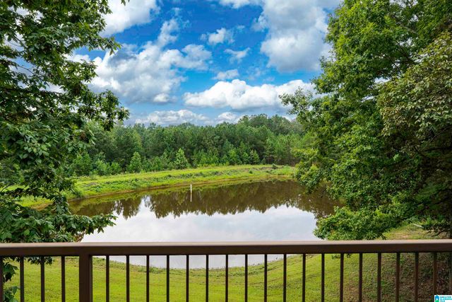 1187 CRAWFORDS COVE ROAD, Springville, AL 35146