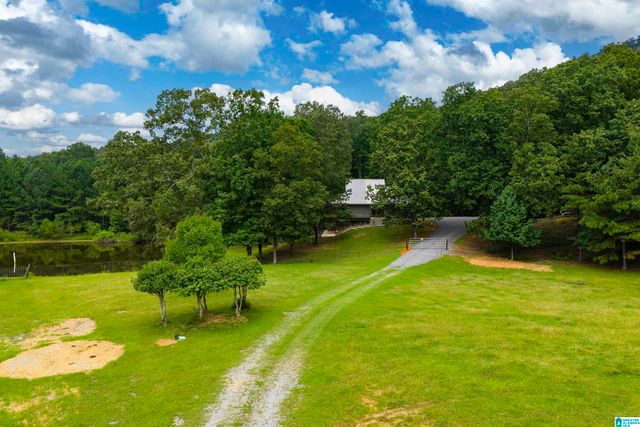 1187 CRAWFORDS COVE ROAD, Springville, AL 35146