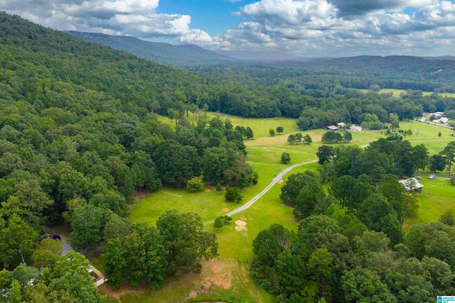 1187 CRAWFORDS COVE ROAD, Springville, AL 35146