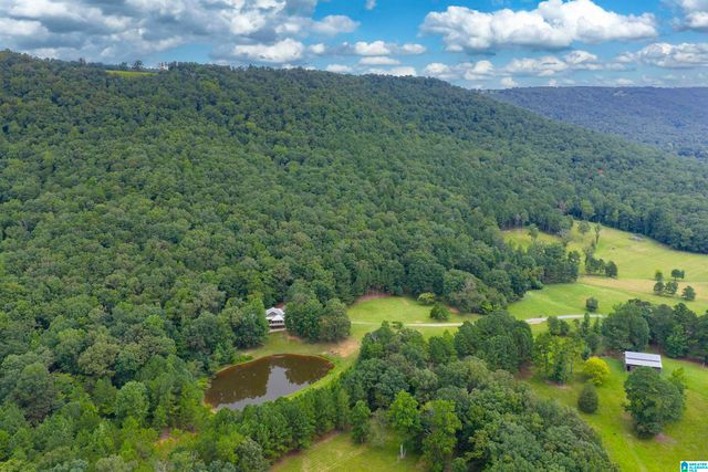 1187 CRAWFORDS COVE ROAD, Springville, AL 35146