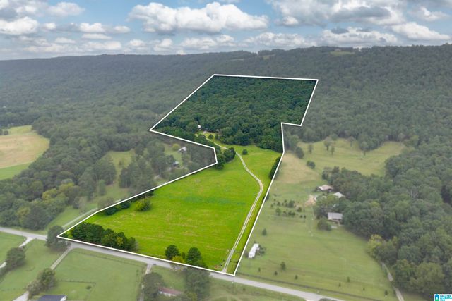 1187 CRAWFORDS COVE ROAD, Springville, AL 35146