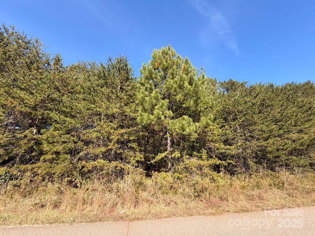 1953 Milton Street 36, Newton, NC 28658