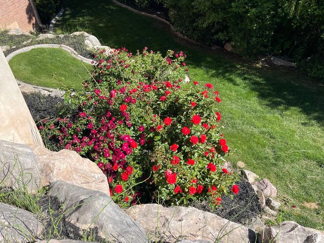 1921 MOHAWK LN, Ogden, UT 84403