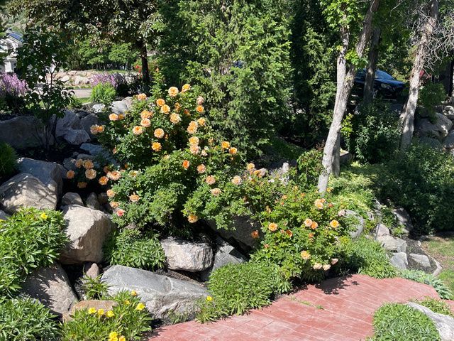 1921 MOHAWK LN, Ogden, UT 84403