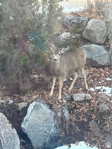 1921 MOHAWK LN, Ogden, UT 84403