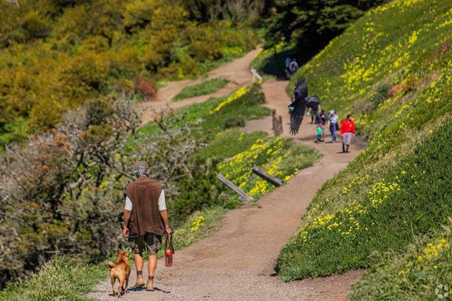 750 Beechwood Drive, Daly City, CA 94015