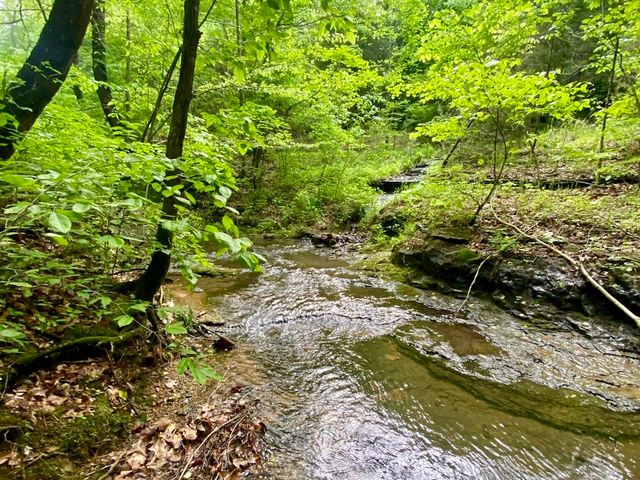 609 Stacey Rd, White Bluff, TN 37187