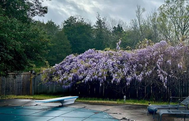 420 Wellesley, Conway, AR 72034