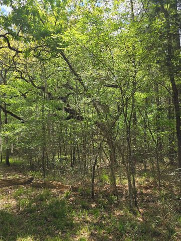 0 Elm Drive Drive, Huntsville, TX 77320