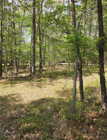 0 Elm Drive Drive, Huntsville, TX 77320