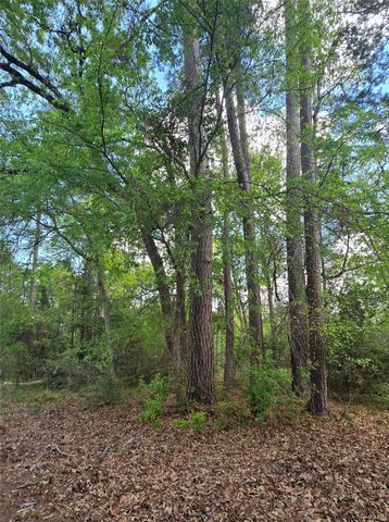 0 Elm Drive Drive, Huntsville, TX 77320