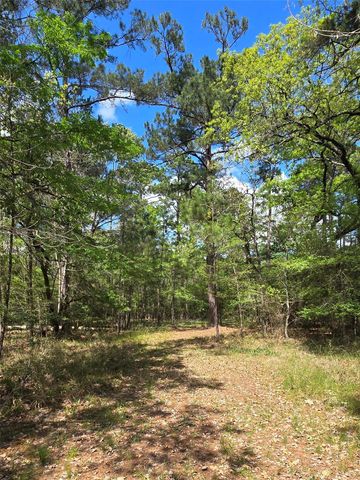0 Elm Drive Drive, Huntsville, TX 77320