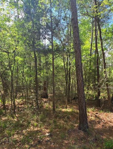 0 Elm Drive Drive, Huntsville, TX 77320