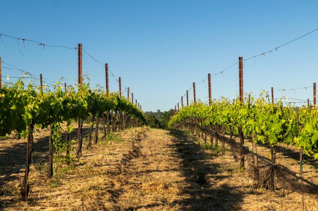 2385 Bald Hill Rd, Auburn, CA 95603