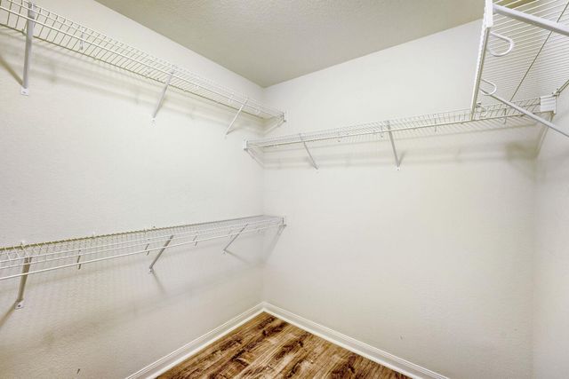 19624 Smith Gin ST, Manor, TX 78653
