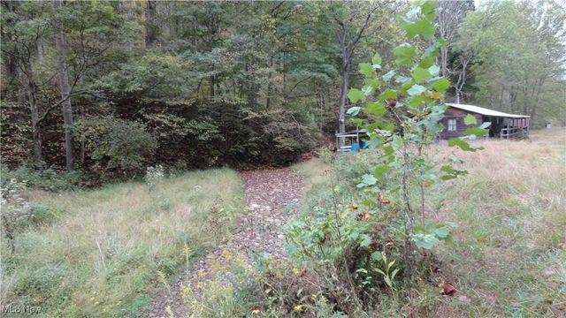 956 Hog Run Road, New Martinsville, WV 26155