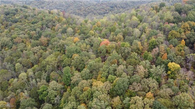 956 Hog Run Road, New Martinsville, WV 26155