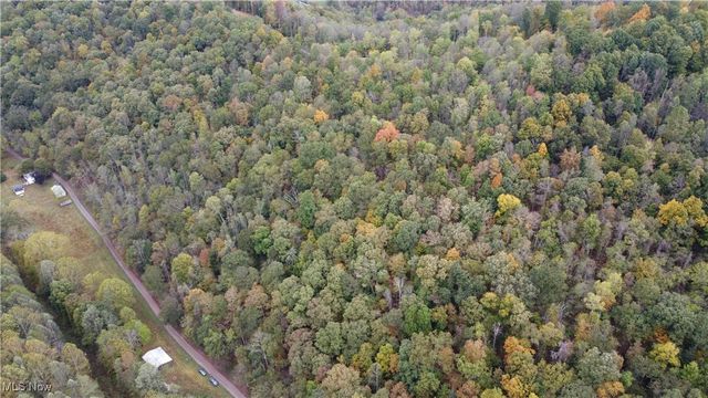 956 Hog Run Road, New Martinsville, WV 26155