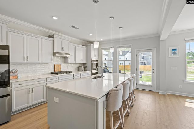 265 Horse Farm Place, Lexington, SC 29072