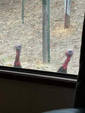 15 Twin Oaks Road, Jacksonville, OR 97530