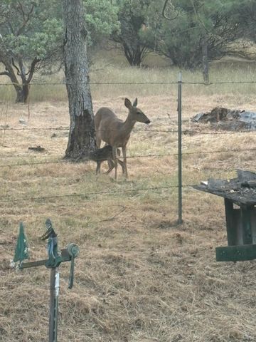 15 Twin Oaks Road, Jacksonville, OR 97530