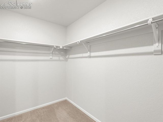 11379 Pikeminnow Place, Colorado Springs, CO 80925