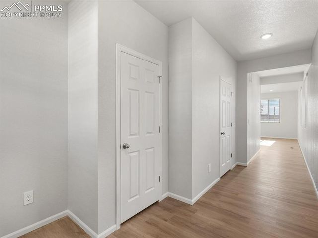 11379 Pikeminnow Place, Colorado Springs, CO 80925