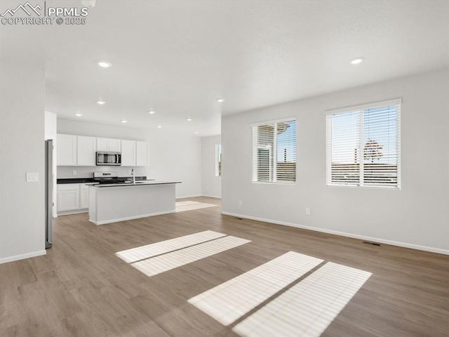 11379 Pikeminnow Place, Colorado Springs, CO 80925