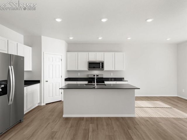 11379 Pikeminnow Place, Colorado Springs, CO 80925