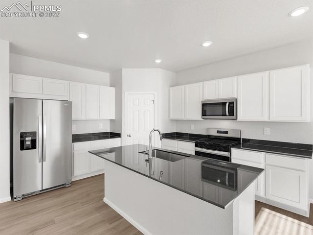 11379 Pikeminnow Place, Colorado Springs, CO 80925