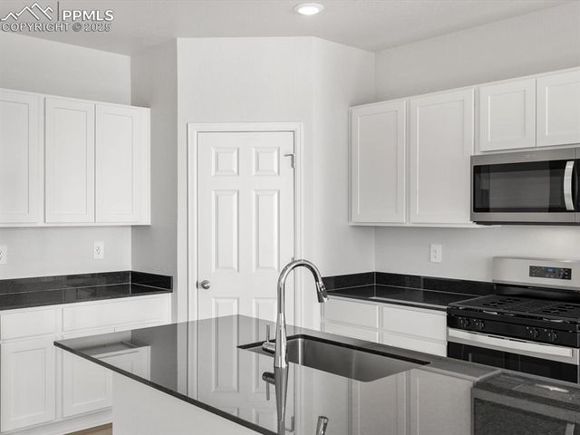 11379 Pikeminnow Place, Colorado Springs, CO 80925