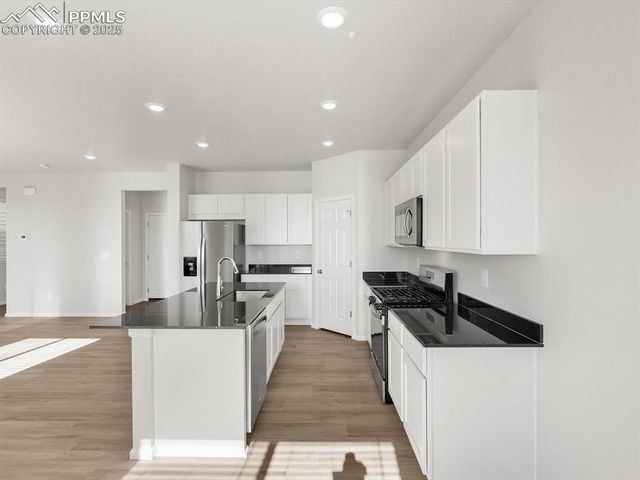 11379 Pikeminnow Place, Colorado Springs, CO 80925