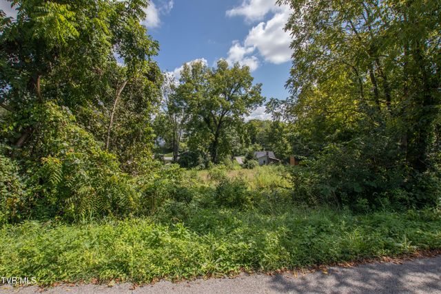 268 Spurgeon Lane, Bristol, VA 24201