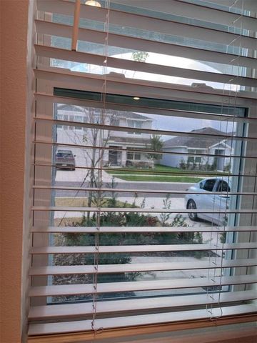 7307 BROAD RIVER, Land O Lakes, FL 34638