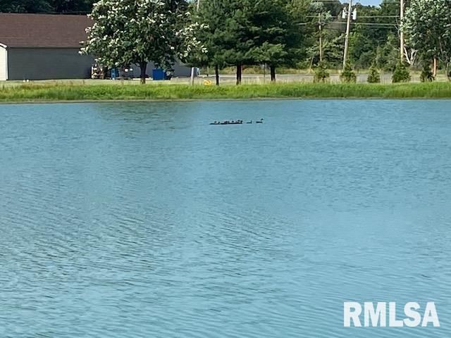 12863 Bowling Alley Road, Benton, IL 62812