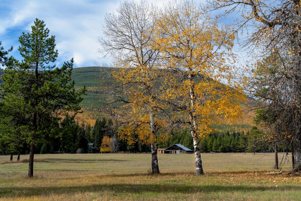 8500 North Fork Road, Polebridge, MT 59928 photo 112
