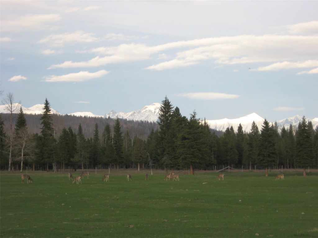 8500 North Fork Road, Polebridge, MT 59928 photo 123
