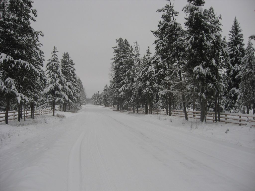 8500 North Fork Road, Polebridge, MT 59928 photo 133