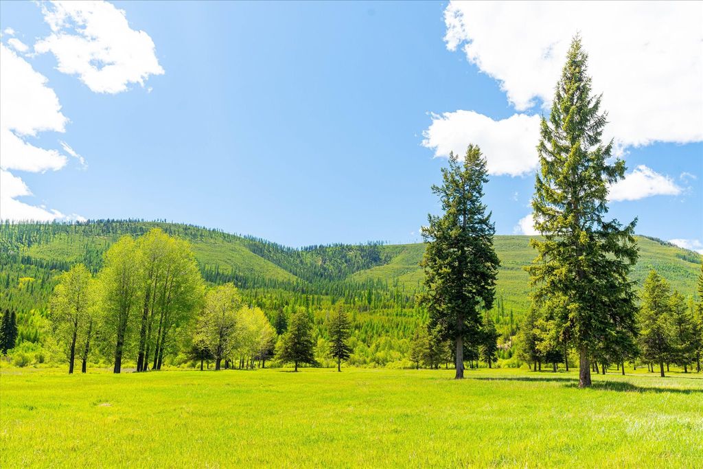 8500 North Fork Road, Polebridge, MT 59928 photo 25