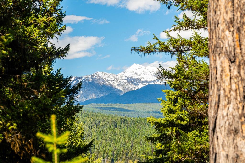 8500 North Fork Road, Polebridge, MT 59928 photo 33