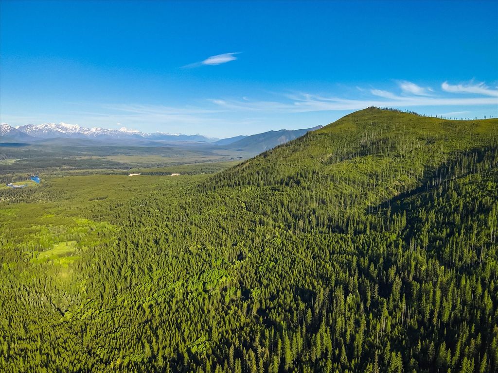 8500 North Fork Road, Polebridge, MT 59928 photo 43