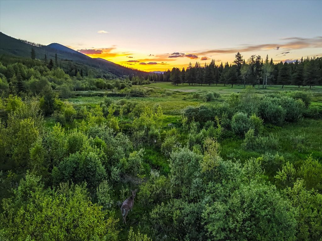 8500 North Fork Road, Polebridge, MT 59928 photo 46